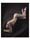 Westerby_Mark
