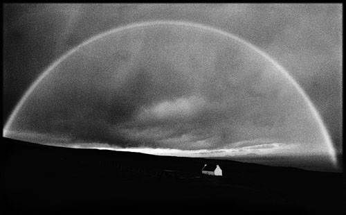 andrew haslam