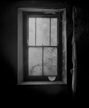 steve thompson