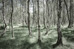 Richard Freestone : Location Prize : 1 of 2